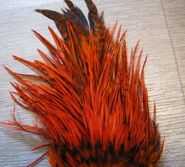 DF  Indian saddle badger orange # 2